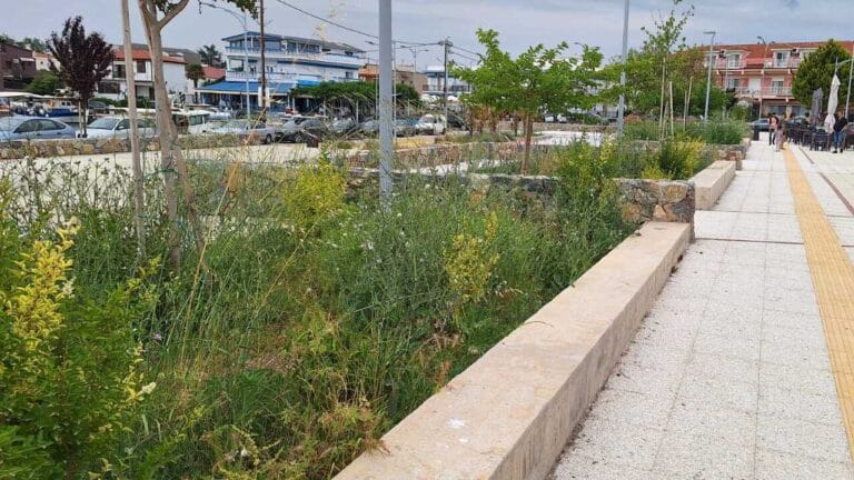 Σε εγκατάλειψη το Φανάρι Κομοτηνής  – Διαμαρτυρίες κατοίκων για την εικόνα της περιοχής