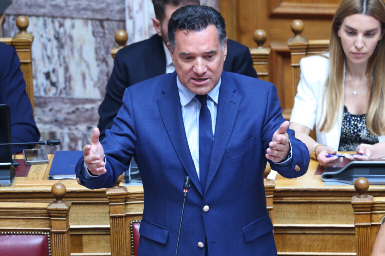 Γεωργιάδης: Μπορεί η Καρυστιανού να προσκομίσει έγγραφο του ΙΣΘ ότι δεν βρήκε κάτι μεμπτό;